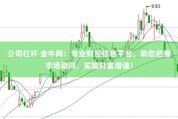 公司杠杆 金牛网：专业财经信息平台，助您把握市场动向，实现财富增值！