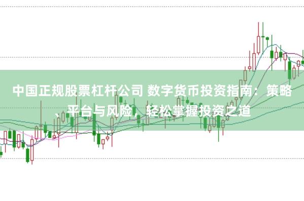 中国正规股票杠杆公司 数字货币投资指南：策略、平台与风险，轻松掌握投资之道