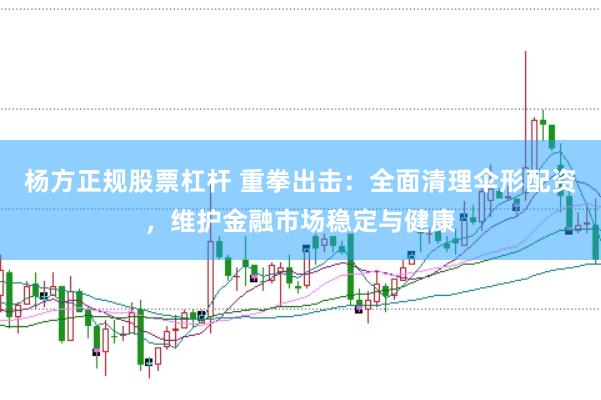 杨方正规股票杠杆 重拳出击：全面清理伞形配资，维护金融市场稳定与健康