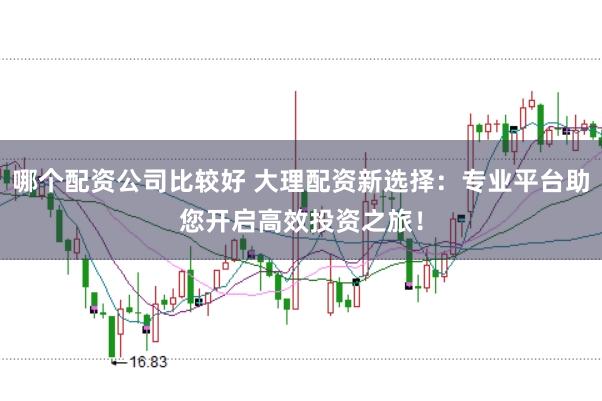 哪个配资公司比较好 大理配资新选择：专业平台助您开启高效投资之旅！