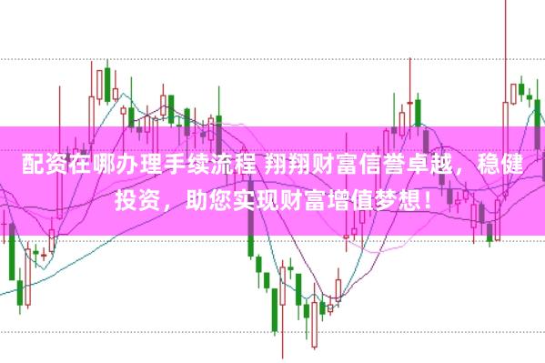配资在哪办理手续流程 翔翔财富信誉卓越，稳健投资，助您实现财富增值梦想！