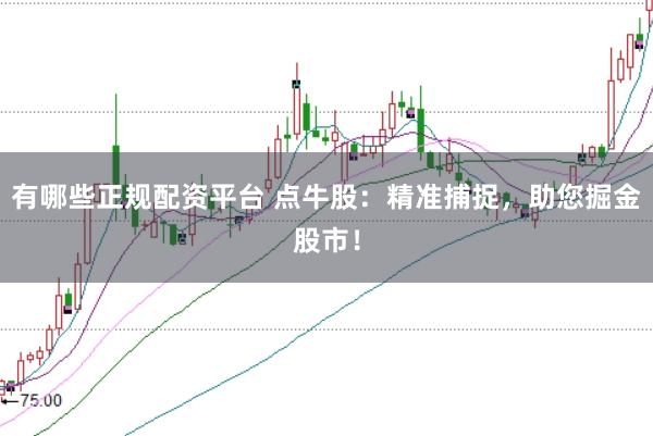 有哪些正规配资平台 点牛股：精准捕捉，助您掘金股市！