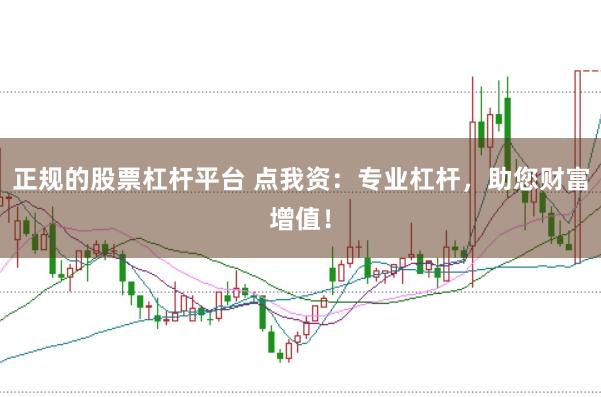 正规的股票杠杆平台 点我资：专业杠杆，助您财富增值！