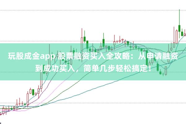 玩股成金app 股票融资买入全攻略：从申请融资到成功买入，简单几步轻松搞定！