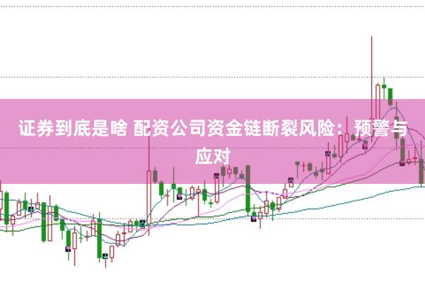 证券到底是啥 配资公司资金链断裂风险：预警与应对