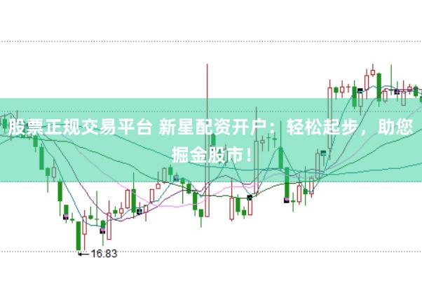 股票正规交易平台 新星配资开户：轻松起步，助您掘金股市！