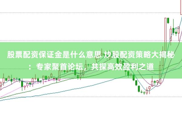 股票配资保证金是什么意思 炒股配资策略大揭秘:专家聚首论坛,共探高效盈利之道