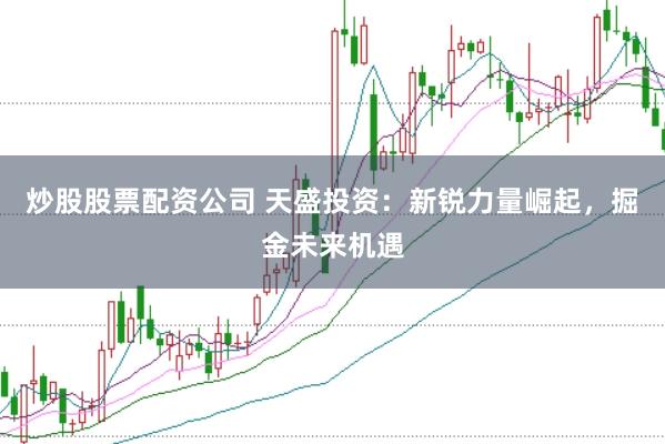 炒股股票配资公司 天盛投资：新锐力量崛起，掘金未来机遇
