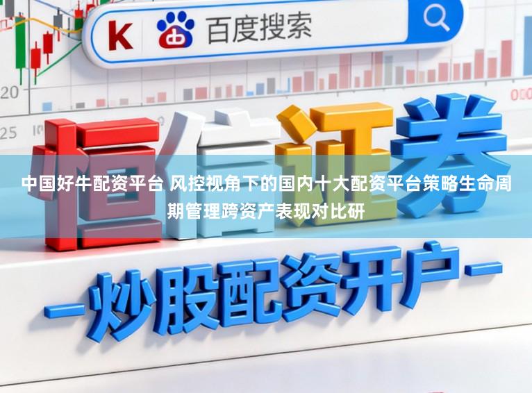 中国好牛配资平台 风控视角下的国内十大配资平台策略生命周期管理跨资产表现对比研